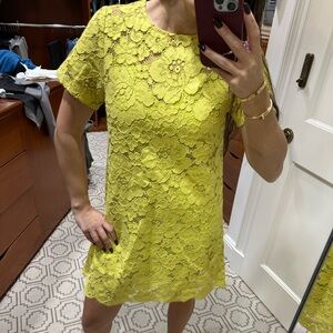 BCBG Yellow Lace Dress